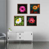 Removable Décor Flowers Wall Paper (Set of 4) - 5 Divided Wall Frame