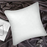 Plain Filled Cushion - 4 Pcs - Cushion