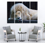 Small Wall Frame Sleeping Lion Maguari Store SYNTHETIC CANVAS 4 DIVIDED 