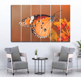 Small Wall Frame Orange Butterfly - 5 Divided Wall Frame