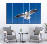 Small Wall Frame Pigeon on Sky - 5 Divided Wall Frame