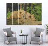 Small Wall Frame Lions - 5 Divided Wall Frame