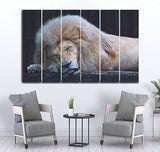 Small Wall Frame Sleeping Lion - 5 Divided Wall Frame