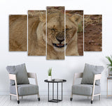 Small Wall Frame Lion - 5 Divided Wall Frame